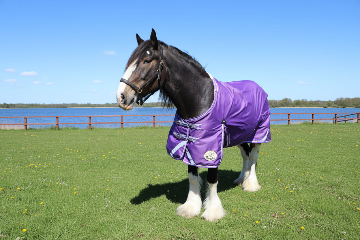Heavy Horse 50g 1200D V2 Turnout Rug