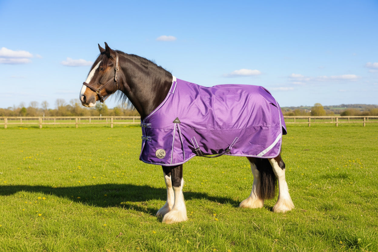 Heavy Horse 50g 1200D V2 Turnout Rug