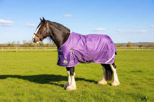 Heavy Horse 50g 1200D V2 Turnout Rug