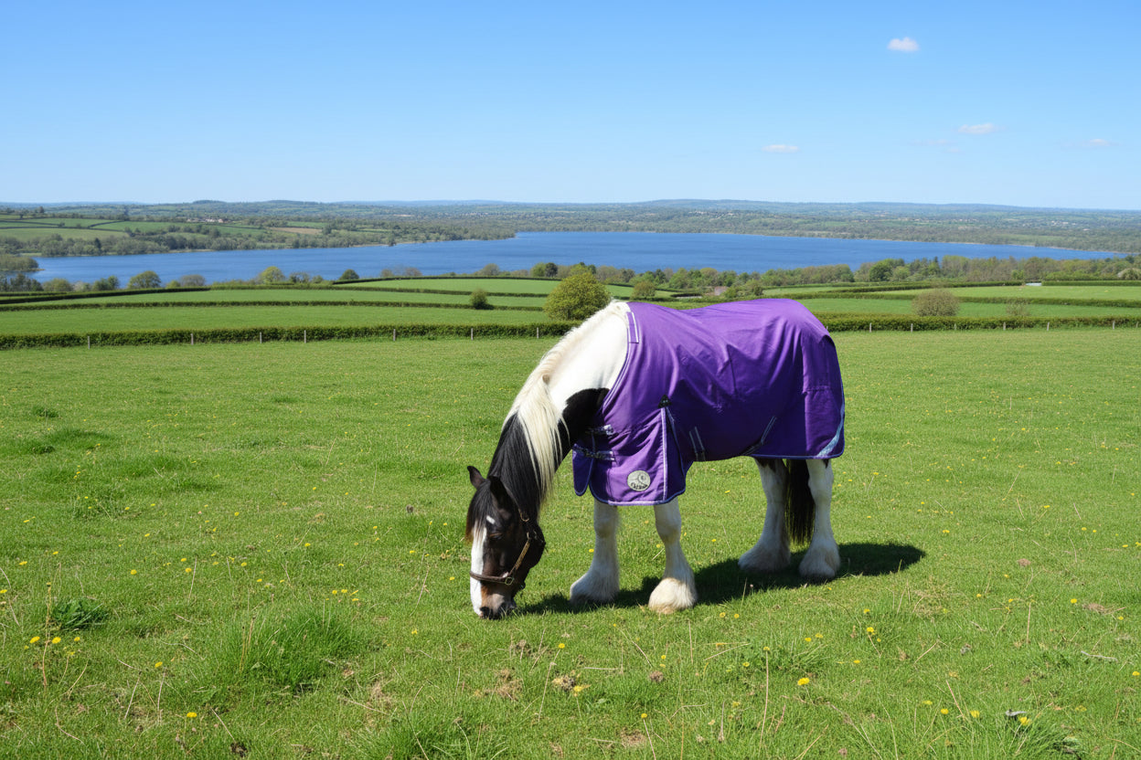 Heavy Horse 50g 1200D V2 Turnout Rug