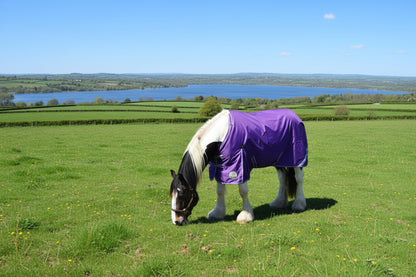 Heavy Horse 50g 1200D V2 Turnout Rug
