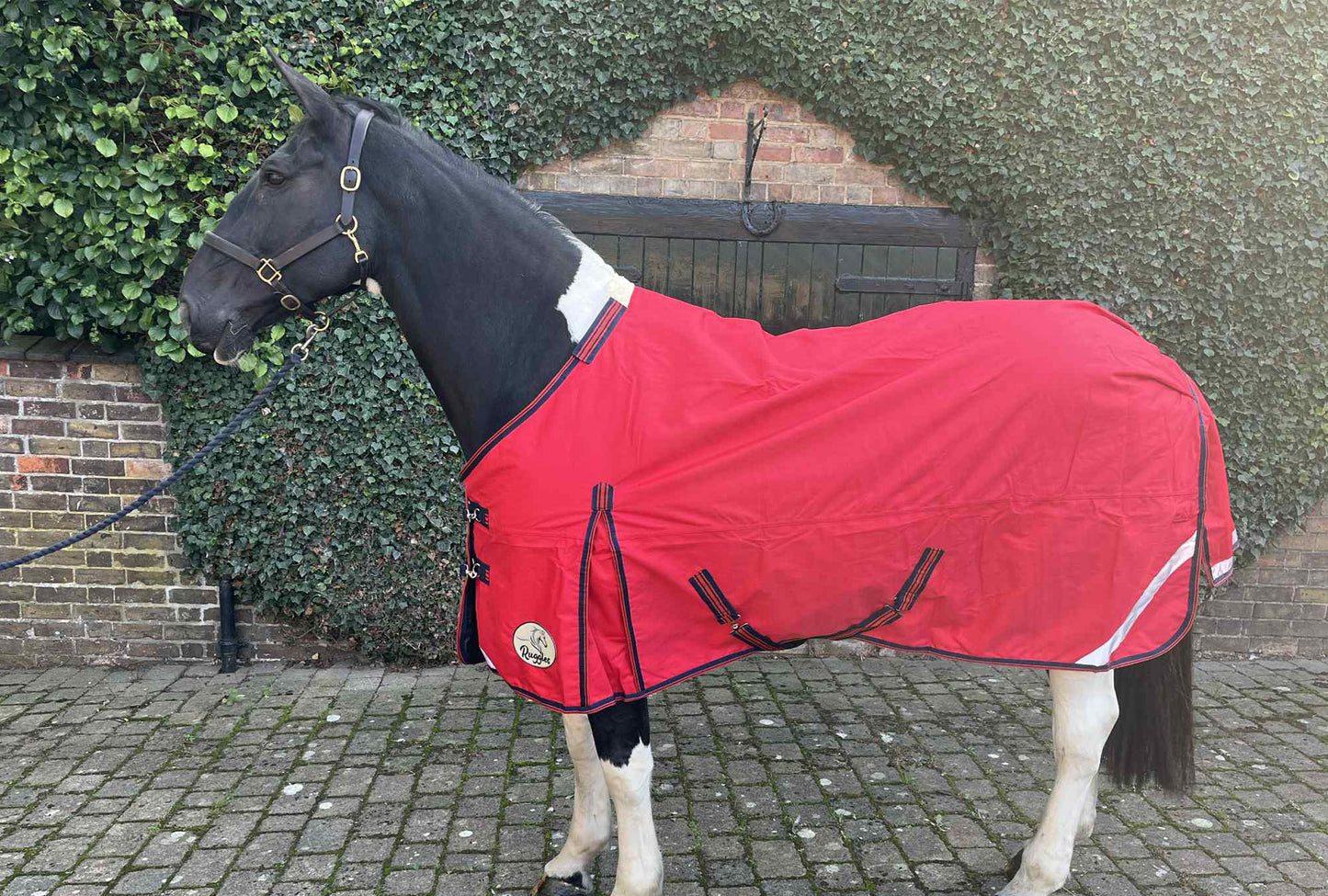 Heavy Horse 50g 1200D V2 Turnout Rug