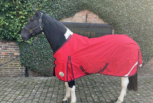 Heavy Horse 50g 1200D V2 Turnout Rug