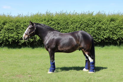 Heavy Horse Fleece Leg Wraps - Set of 4