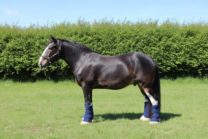 Shop Soiled Heavy Horse Large Fleece Leg Wraps Set of Four Navy And Set Of Four Burgundy
