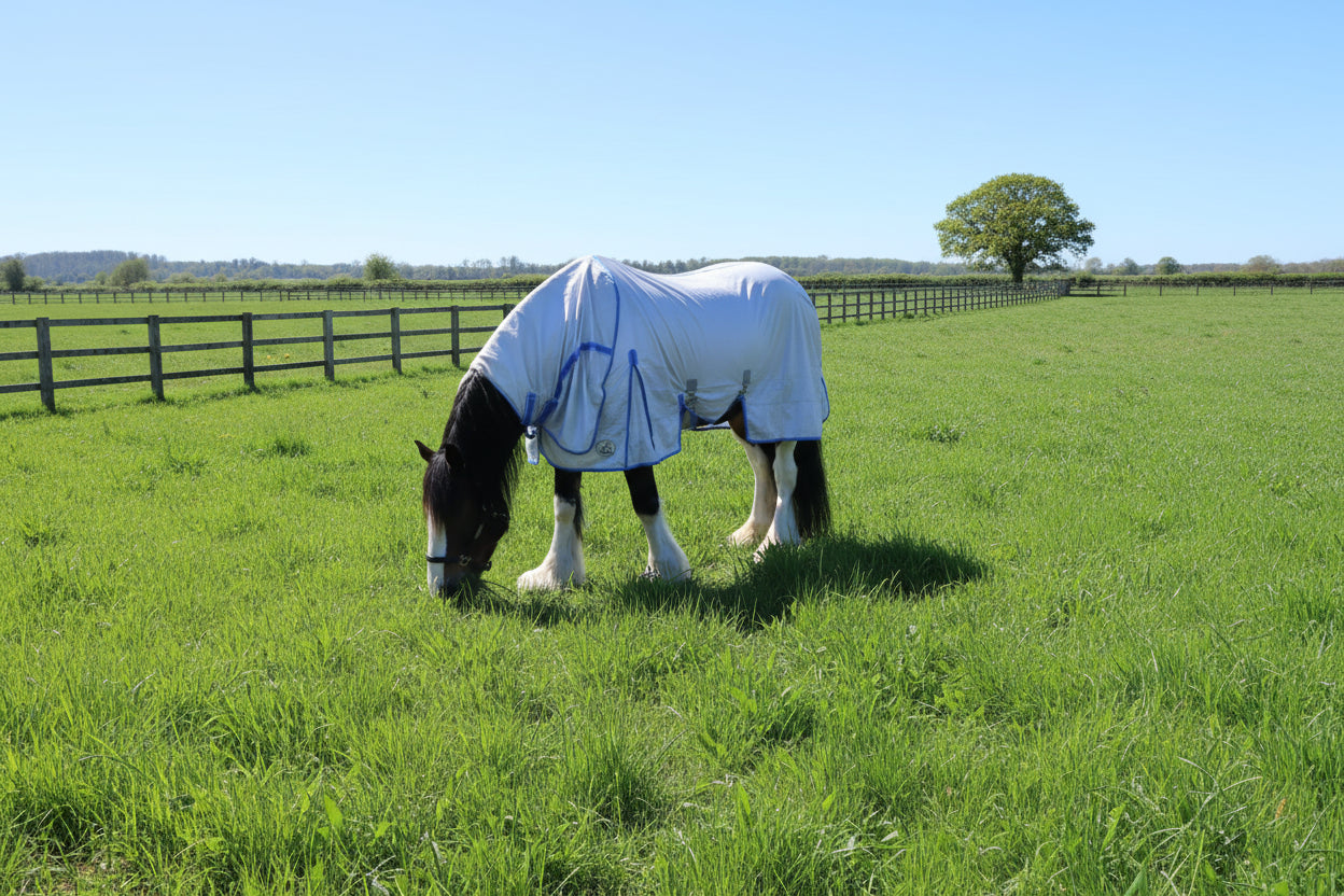 Heavy Horse Fly Rug And Neck Cover