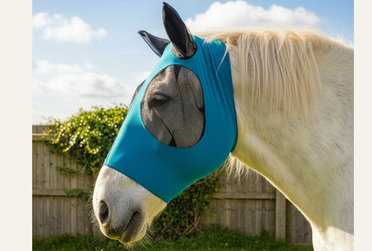 Heavy Horse Pull On Lycra Fly Mask