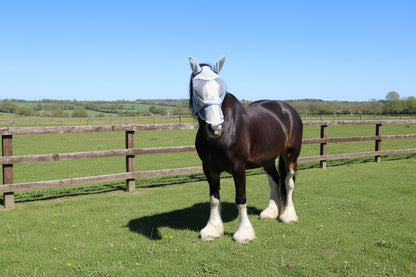 Heavy Horse Fly Mask With Or Without Nose Guard
