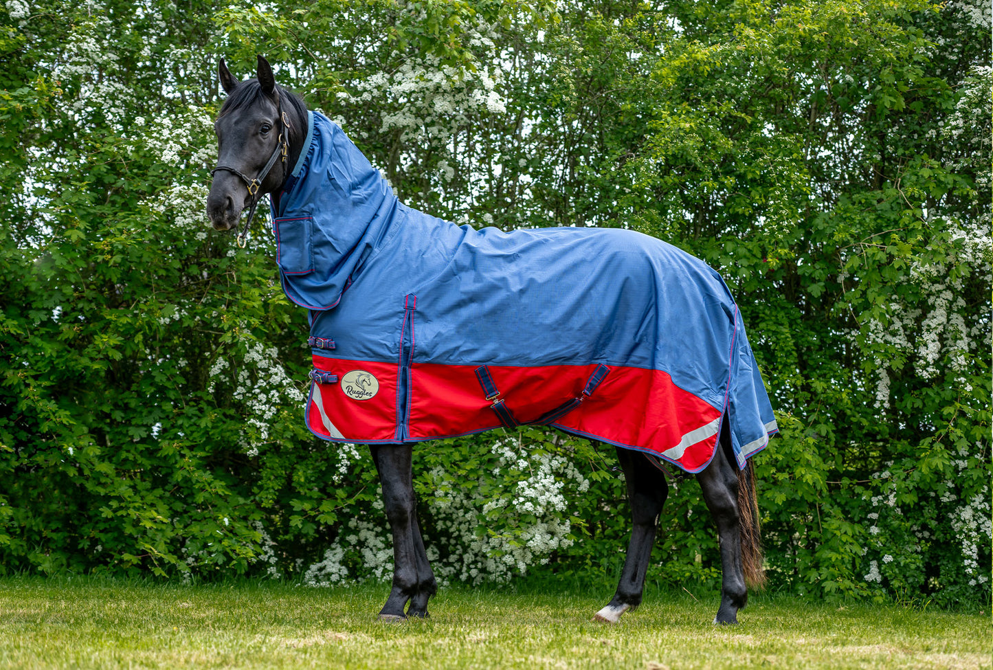 100g Combo Turnout Rug