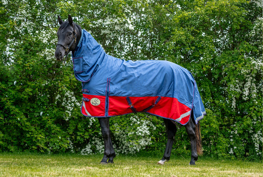 100g Combo Turnout Rug