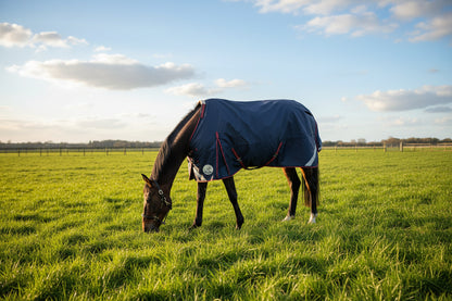 100g Standard V2 Turnout Rug