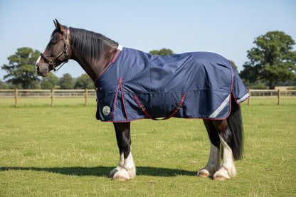 Heavy Horse 100g 1200D V2 Turnout Rug