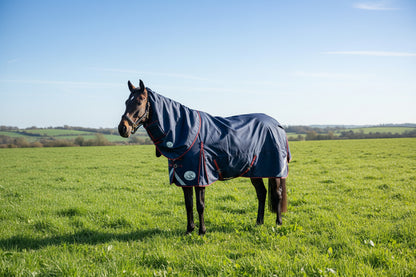 100g Standard V2 Turnout Rug