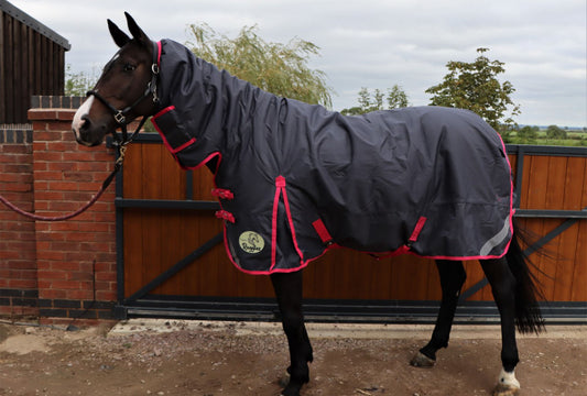 200g Middleweight Combo 1200D Turnout Rug - Clearance