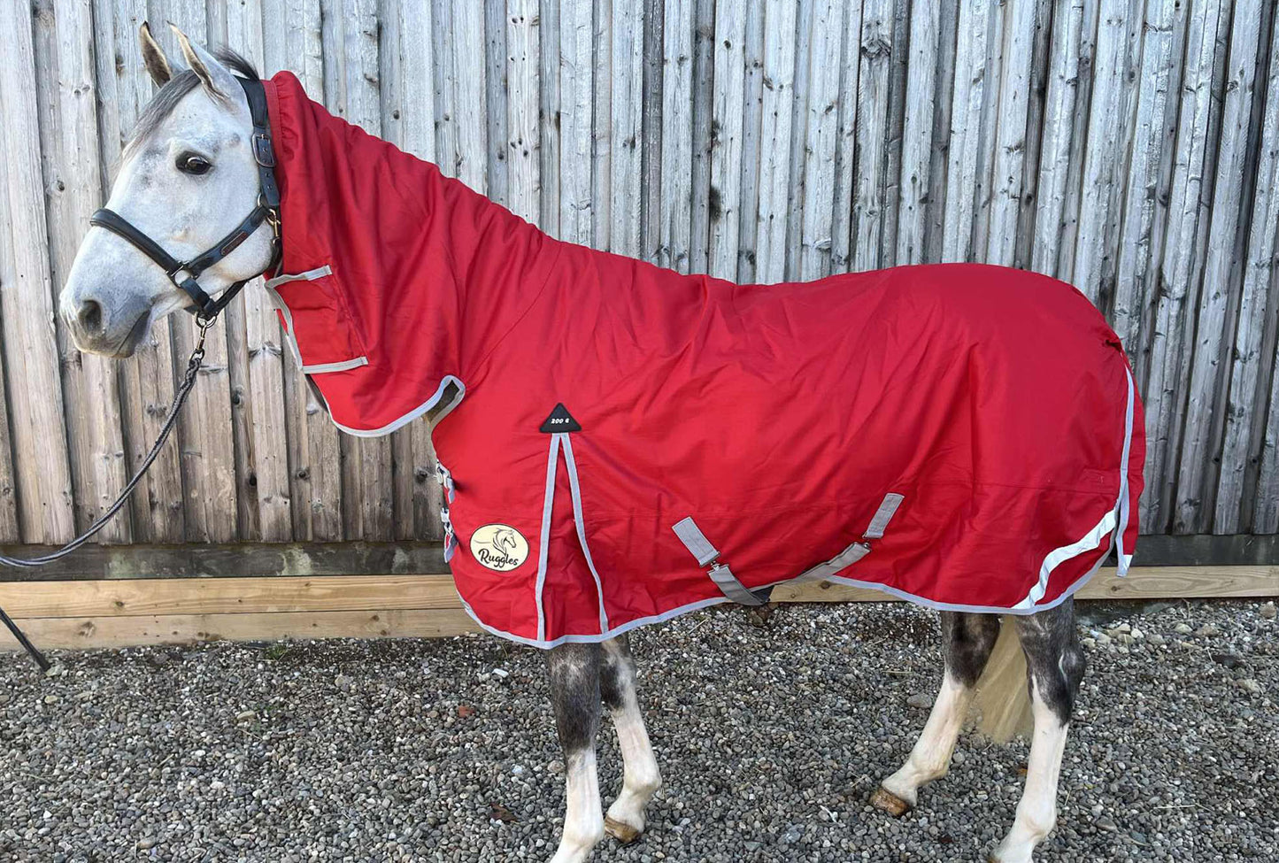 200g Middleweight Combo 1200D Turnout Rug