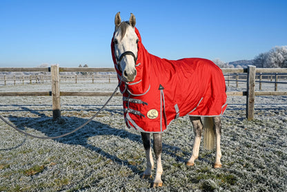 200g Middleweight Combo 1200D Turnout Rug
