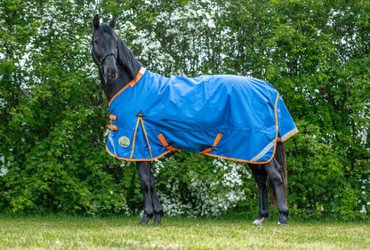 200g Middleweight 1200D V2 Standard Turnout Rug