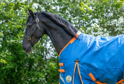 200g Middleweight 1200D V2 Standard Turnout Rug
