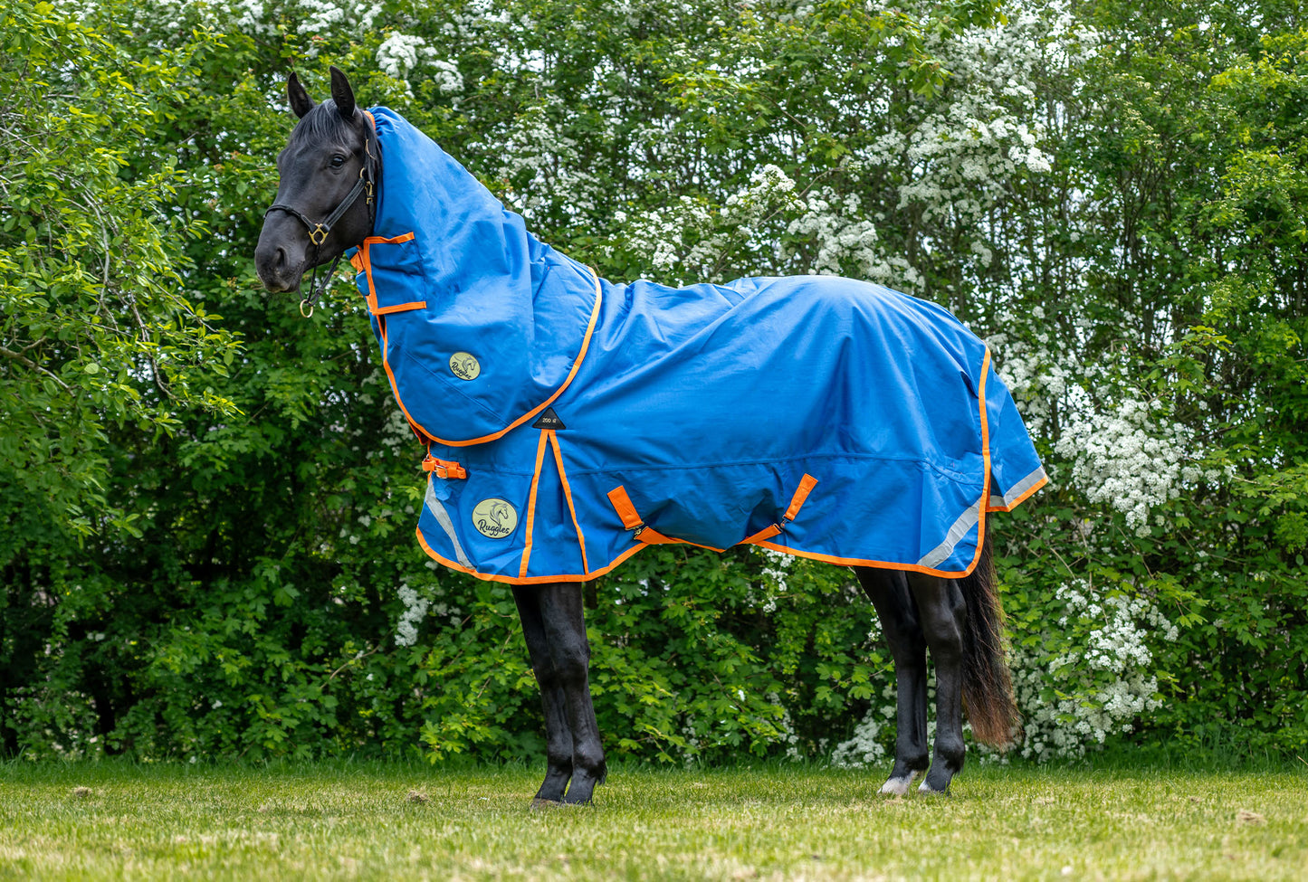 200g Middleweight 1200D V2 Standard Turnout Rug