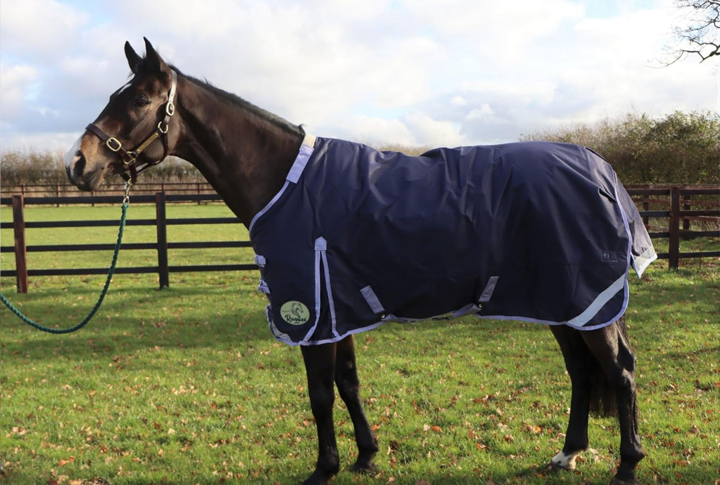 280g Middleweight V2 1200D Standard Turnout Rug