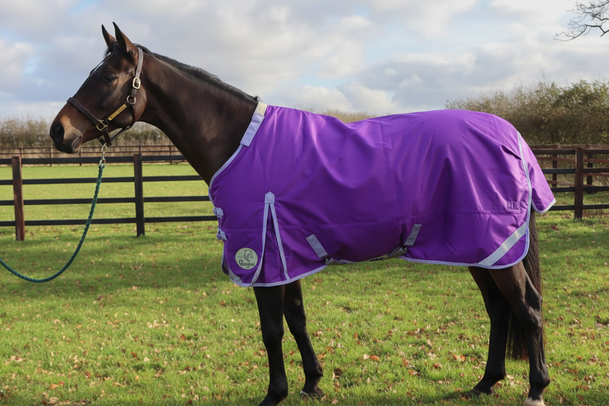 50g V2 Lightweight 1200D Standard Turnout Rug