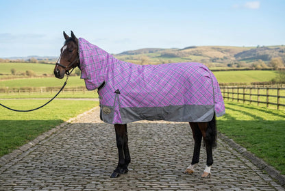 Middleweight 300g 1200D Combo Turnout Rug