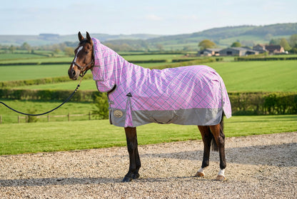 Middleweight 300g 1200D Combo Turnout Rug