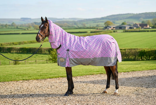 Middleweight 300g 1200D Combo Turnout Rug
