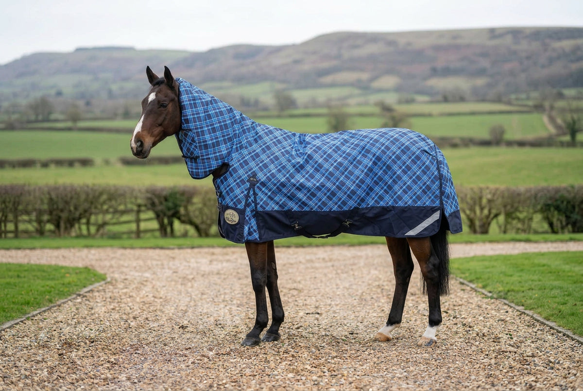 Middleweight 300g 1200D Combo Turnout Rug