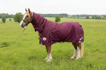 400g Heavyweight Combo 1200D Turnout Rug