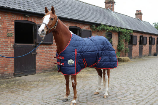 400g Standard Stable Rug With Detachable Neck