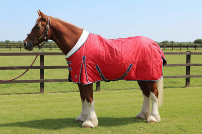 Heavy Horse 50g Stable Rug With Fleece Collar