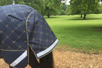 70g V2 Lightweight 1200D Standard Turnout Rug