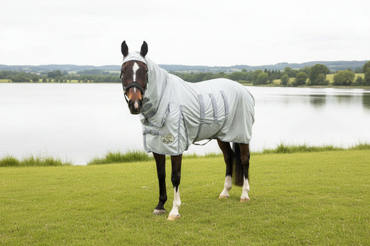 Lightweight Combo Fly Rug With Belly Band And Ear Holes (160g Mesh)