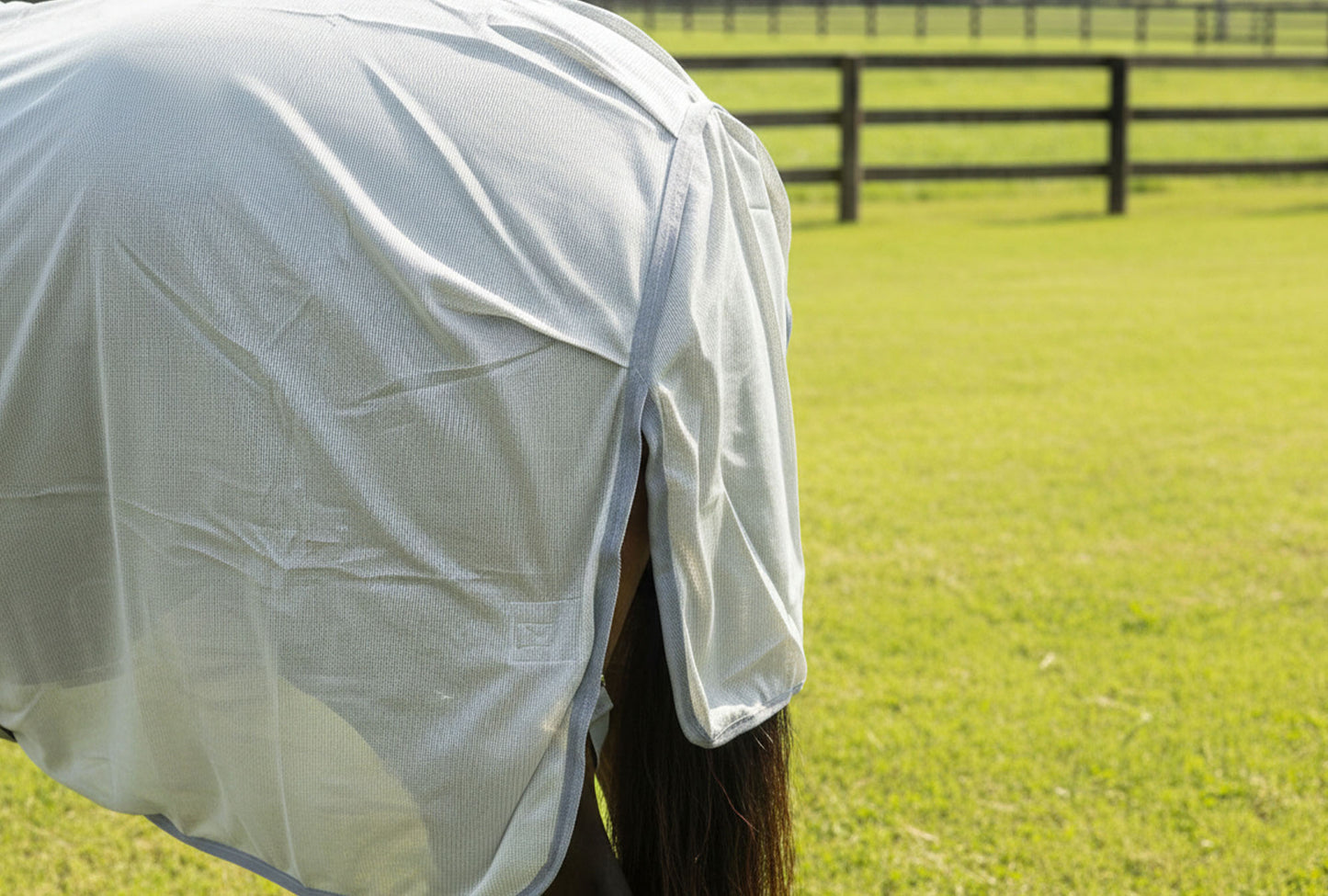 Lightweight Combo Fly Rug With Belly Band And Ear Holes (160g Mesh)
