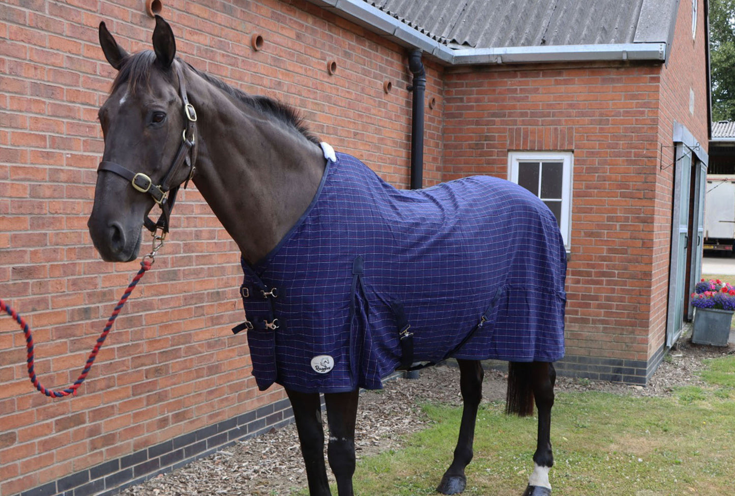 Cotton Summer Sheet With Tail Flap