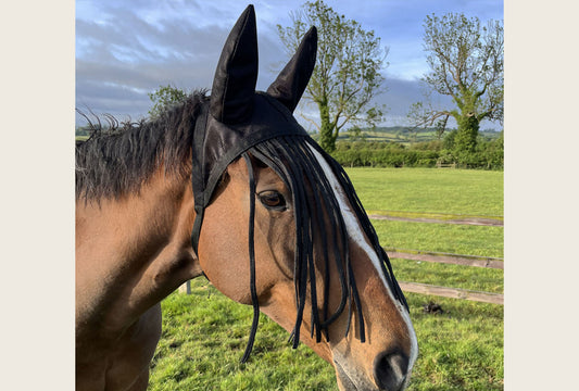 Fly Fringe with Ears