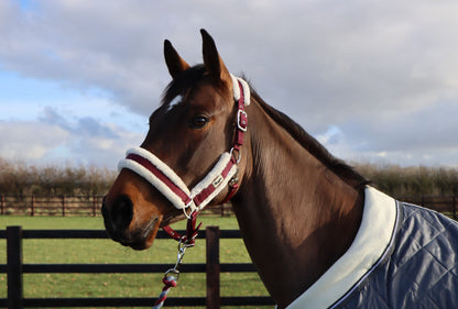 Fully Adjustable Head Collar With Contrast Fur