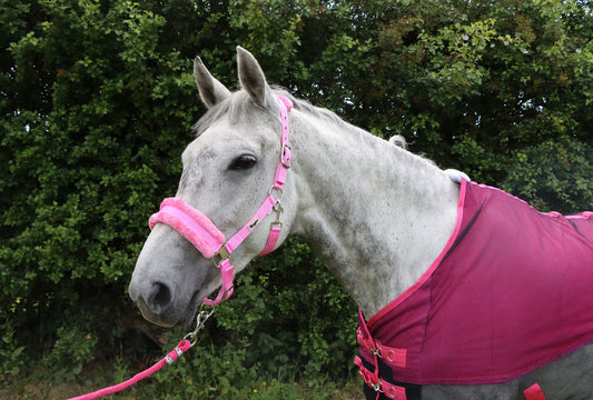Horse and Pony Head Collar With Matching Fur