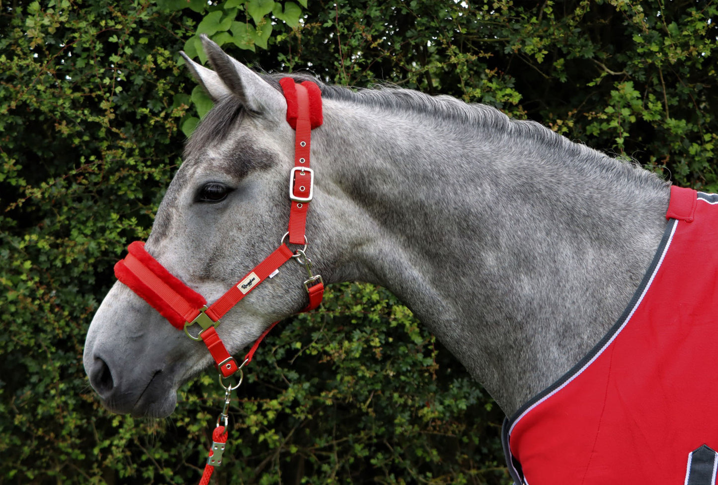 Horse and Pony Head Collar With Matching Fur