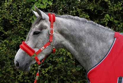 Horse and Pony Head Collar With Matching Fur