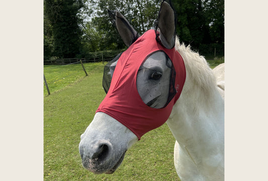 Horse And Pony Pull On Lycra Fly Mask