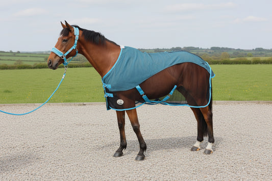 Mesh Cooler Rug