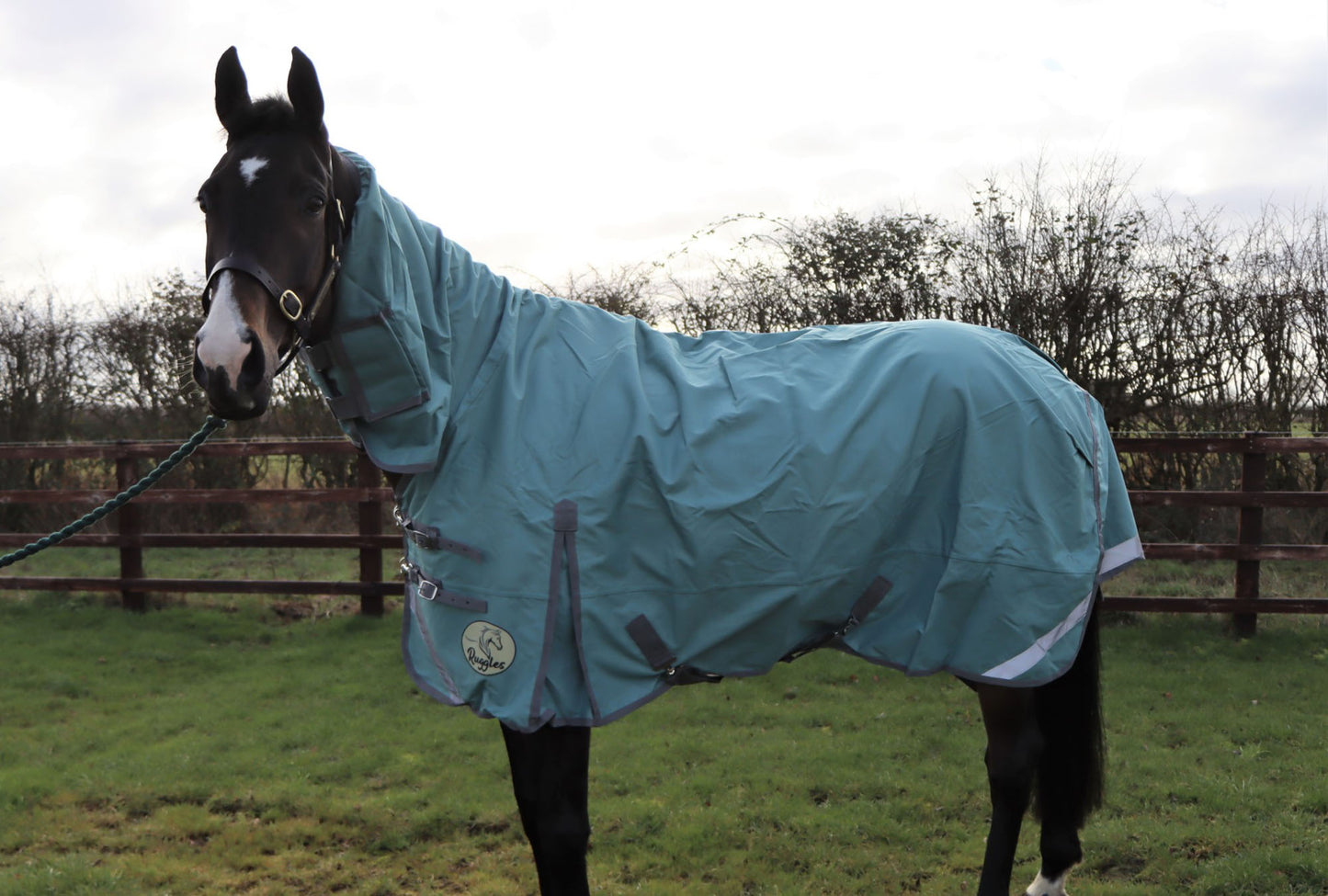 No Fill Lightweight Combo Turnout Rug - Clearance