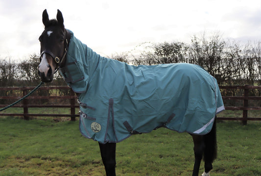 No Fill Lightweight Combo Turnout Rug - Clearance