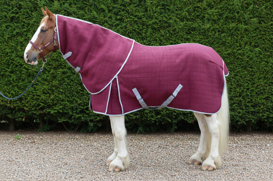 Heavy Horse Triple Layer Wicking Rug With Detachable Neck