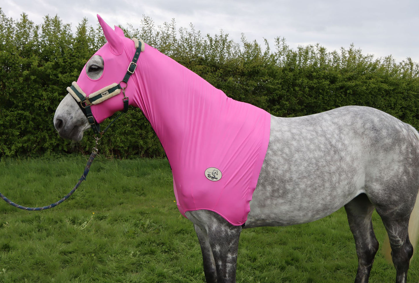 Lycra Hood With Zip - Available With or Without Ears