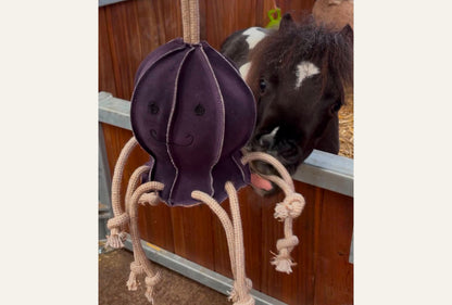 Horse Toy- Ollie Octopus