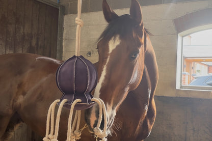 Horse Toy- Ollie Octopus
