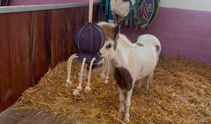 Horse Toy- Ollie Octopus